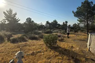 10623 Desert View, Pinon Hills, CA 92372 - Photo 53