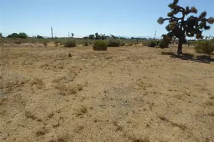 11645 Aster, Victorville, CA 92392 - Photo 15