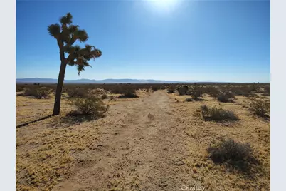 408 Stable, Landers, CA 92285 - Photo 3