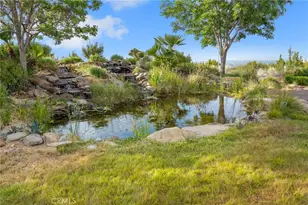 8334 Sky Line, Pinon Hills, CA 92372 - Photo 37