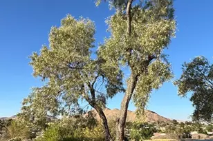 15492 Lenca, Apple Valley, CA 92307 - Photo 3