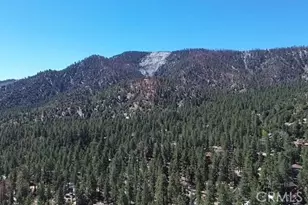 2057 Mojave Scenic, Wrightwood, CA 92397 - Photo 15