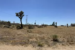 0 Olivine Rd, Phelan, CA 92371 - Photo 1
