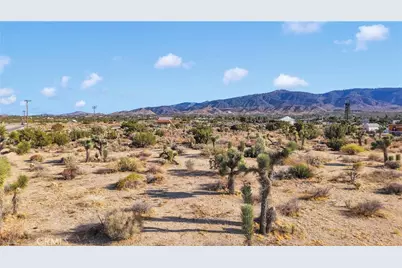 875 Locust Road, Pinon Hills, CA 92372 - Photo 9