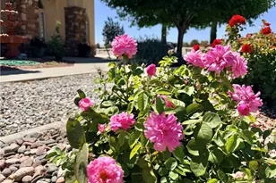 8535 Alta Mesa Rd, Hesperia, CA 92344 - Photo 47
