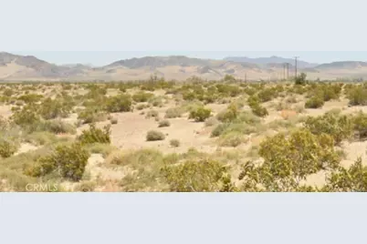 49800 Riverside Road, Newberry Springs, CA 92365 - Photo 3