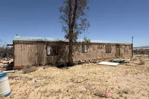 48423 Thoreau Rd, Newberry Springs, CA 92365 - Photo 3