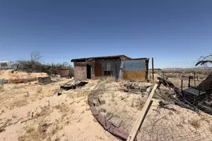 48423 Thoreau Rd, Newberry Springs, CA 92365 - Photo 9
