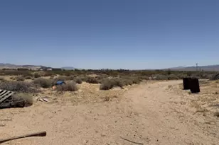 48423 Thoreau Rd, Newberry Springs, CA 92365 - Photo 13