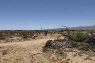 48423 Thoreau Rd, Newberry Springs, CA 92365 - Photo 5