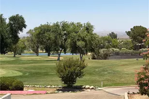 32038 Crystalaire, Llano, CA 93544 - Photo 35
