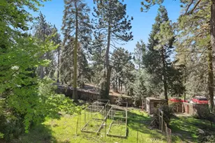 21645 Job Peaks Rd, Cedarpines Park, CA 92322 - Photo 51