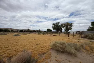 26262 Community, Barstow, CA 92311 - Photo 29