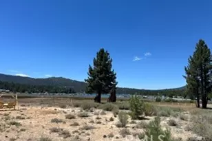 689 Daisy, Big Bear Lake, CA 92315 - Photo 13
