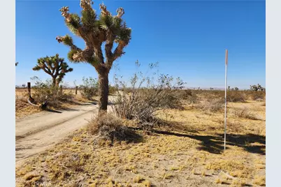 40 Ac Pomona Road, Pinon Hills, CA 92372 - Photo 11