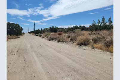 0 Tamarack, Pinon Hills, CA 92372 - Photo 3