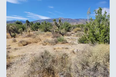0 Tamarack, Pinon Hills, CA 92372 - Photo 7