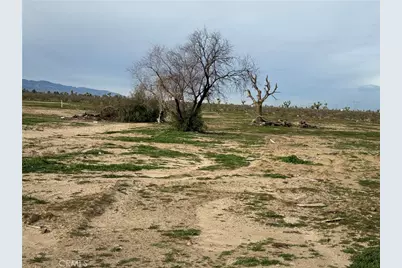 14650 Manada, Phelan, CA 92371 - Photo 5