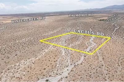 31001214 Cactus Road, Pinon Hills, CA 92372 - Photo 3