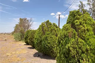 46822 Magney, Newberry Springs, CA 92365 - Photo 67