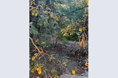 1 Crest Forest, Cedarpines Park, CA 92322 - Photo 1