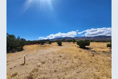 985 Cholla Road, Pinon Hills, CA 92372 - Photo 5