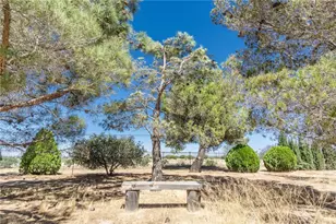 12631 Mesquite St, Oak Hills, CA 92344 - Photo 39
