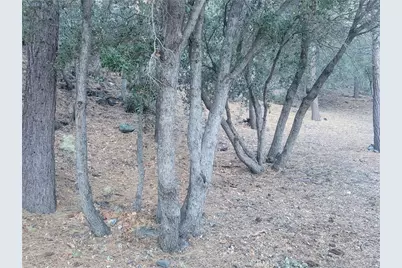 0 Desert View, Wrightwood, CA 92397 - Photo 3