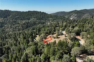 783 Tower Heights Rd, Cedarpines Park, CA 92322 - Photo 1