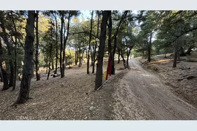 722 Mojave River Road, Cedarpines Park, CA 92322 - Photo 3