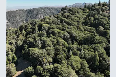 756 Mojave River (Near) Road, Cedarpines Park, CA 92322 - Photo 9
