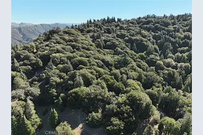 756 Mojave River (Near) Road, Cedarpines Park, CA 92322 - Photo 7