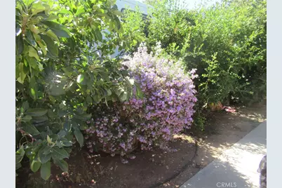 9839 Bellflower, Oak Hills, CA 92344 - Photo 43