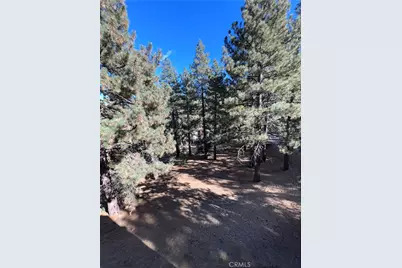 23109 Cardinal, Wrightwood, CA 92397 - Photo 53