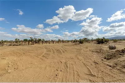 1563 Mono Road, Pinon Hills, CA 92372 - Photo 37