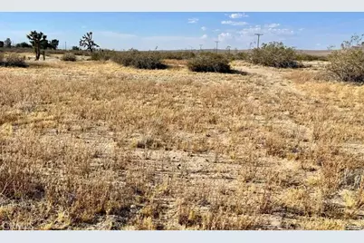 150 E Avenue K12 Apn#3362-006-009 Roosevelt, Lancaster, CA 93535 - Photo 11