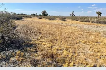 150 E Avenue K12 Apn#3362-006-010 Roosevelt, Lancaster, CA 93535 - Photo 31