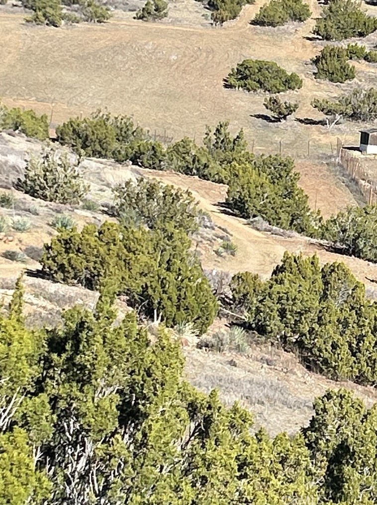 6211 Hubbard Rd, Acton CA  93510-1624 exterior