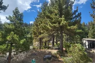 0 North Shore Dr, Fawnskin, CA 92333 - Photo 1