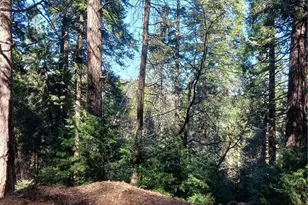 687 Spring Dr, Cedarpines Park, CA 92322 - Photo 1