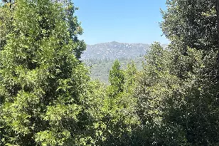 385 Wylerhorn Dr, Crestline, CA 92325 - Photo 45