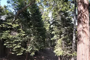 491 Violet Dr, Twin Peaks, CA 92391 - Photo 29