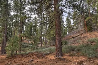 39128 North Shore, Fawnskin, CA 92333 - Photo 69