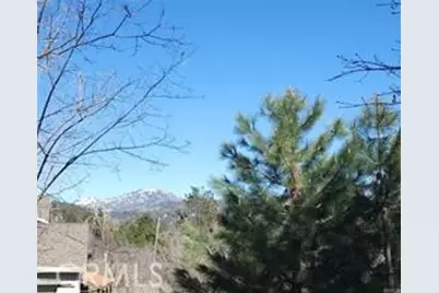 42 Park Drive, Running Springs, CA 92382 - Photo 5