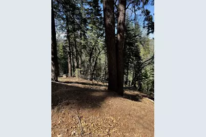 26537 Spyglass Drive, Lake Arrowhead, CA 92352 - Photo 7