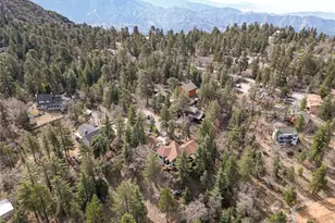 32424 Snowshoe Ln, Running Springs, CA 92382 - Photo 61