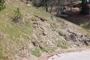 21858 Fern Canyon Rd, Cedarpines Park, CA 92322 - Photo 1