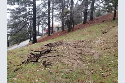 21858 Fern Canyon Road, Cedarpines Park, CA 92322 - Photo 7