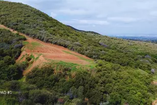 1 Plummers Ln, Mentone, CA 92359 - Photo 1