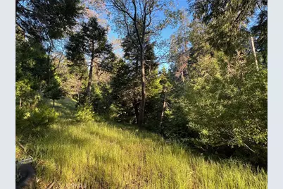 29038 Terrace, Cedar Glen, CA 92321 - Photo 5